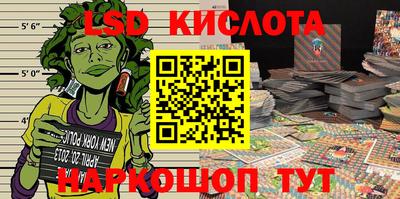 стаф Берёзовский