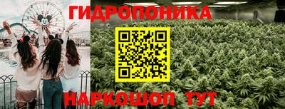 не бодяженный Бийск