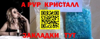 стаф Берёзовский