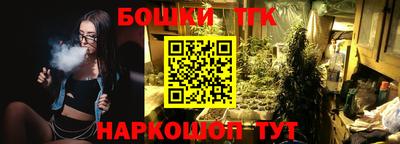 стаф Берёзовский